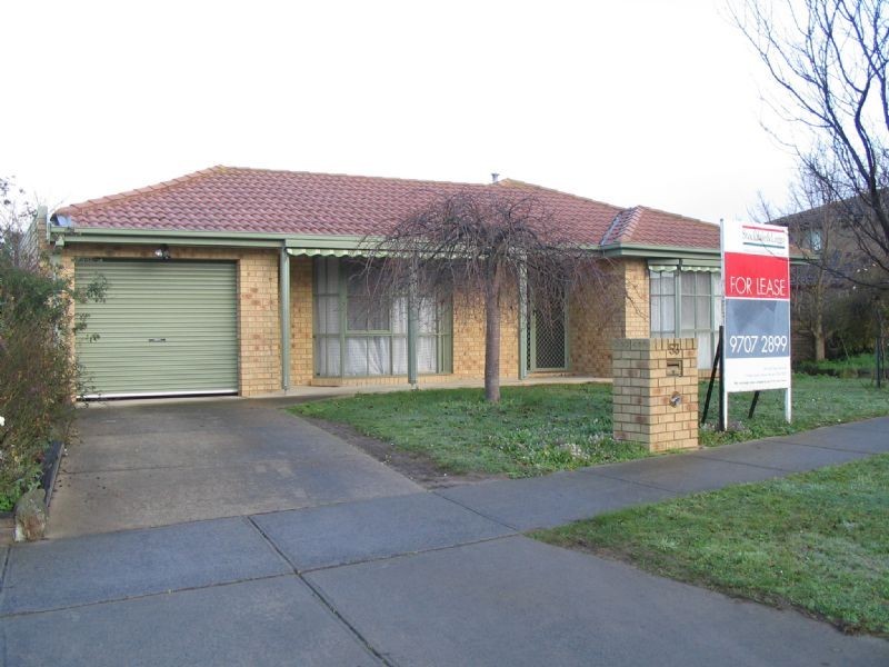 53 Bellevue Drive, Berwick VIC 3806