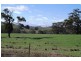 CA1 Clancy Road, Eppalock VIC 3551
