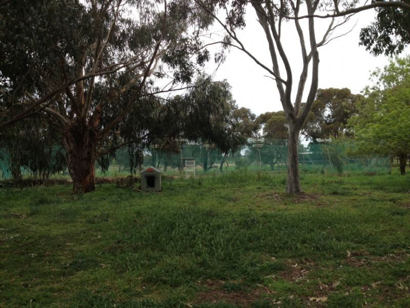Beveridge VIC 3753