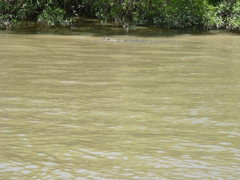 Berry Springs NT 0838