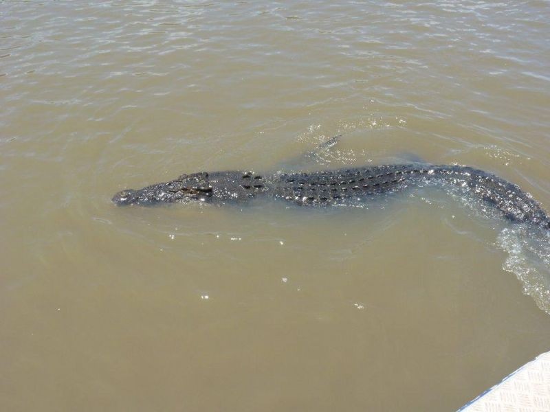 Berry Springs NT 0838