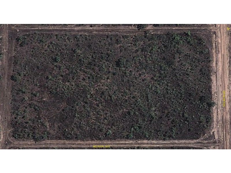 Batchelor NT 0845