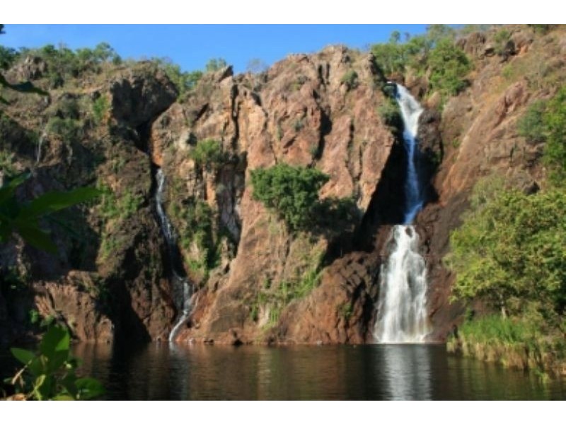 Batchelor NT 0845