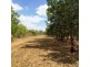 125 Metcalfe Road, Humpty Doo NT 0836