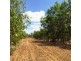 125 Metcalfe Road, Humpty Doo NT 0836