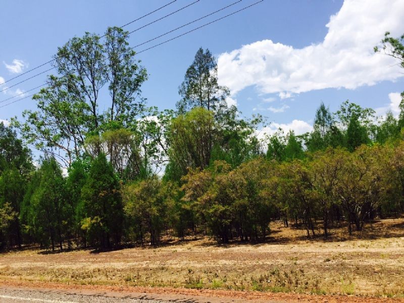 60 Barrow Road, Humpty Doo NT 0836