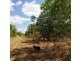 125 Metcalfe Road, Humpty Doo NT 0836