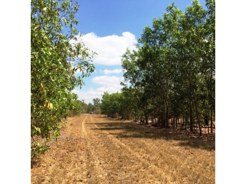 125 Metcalfe Road, Humpty Doo NT 0836