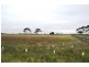 Bannockburn VIC 3331