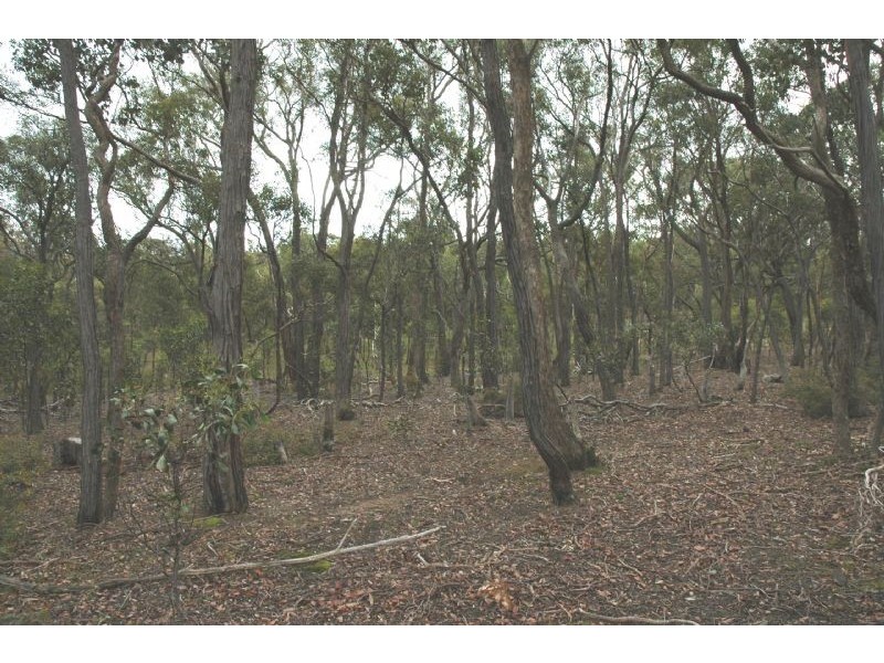 She Oaks VIC 3331