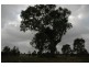Teesdale VIC 3328