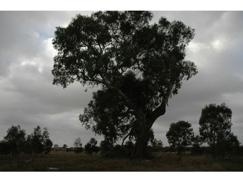 Teesdale VIC 3328