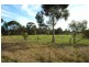 Bannockburn VIC 3331