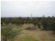 Staughton Vale VIC 3221