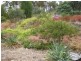 Staughton Vale VIC 3221