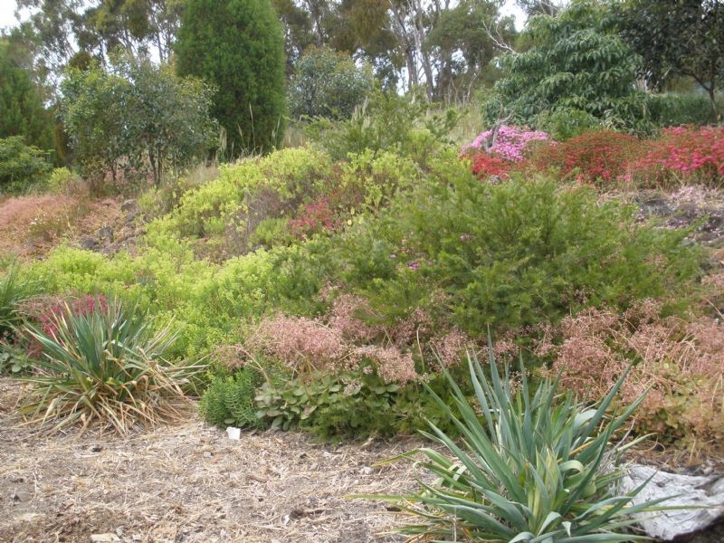 Staughton Vale VIC 3221