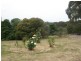 Staughton Vale VIC 3221