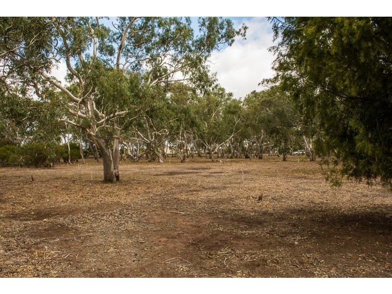 Lot 3, 23 Tooliroopah Road, Teesdale VIC 3328