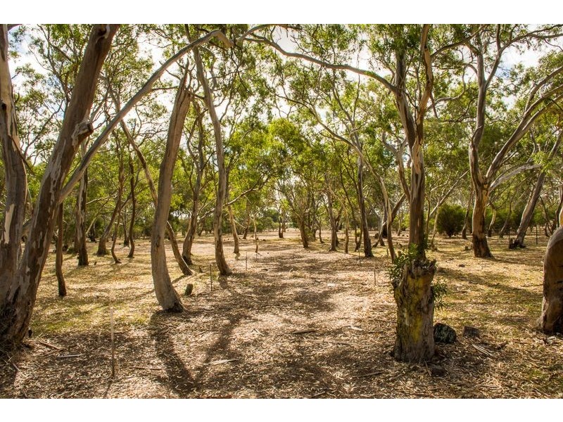 Lot 3, 23 Tooliroopah Road, Teesdale VIC 3328