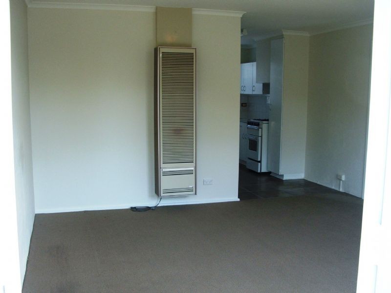 Newtown VIC 3220