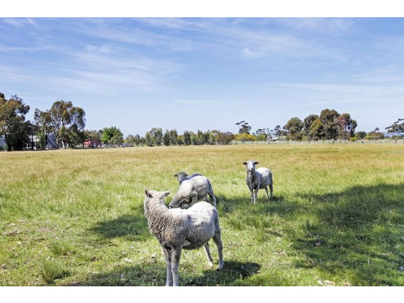 Bannockburn VIC 3331