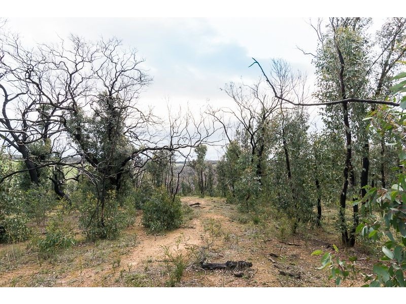 Lot 11 Paynesbridge Rd, Dereel VIC 3352