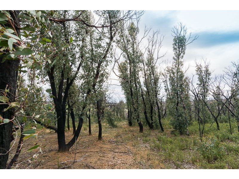 Lot 11 Paynesbridge Rd, Dereel VIC 3352