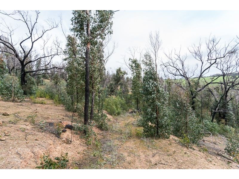 Lot 11 Paynesbridge Rd, Dereel VIC 3352