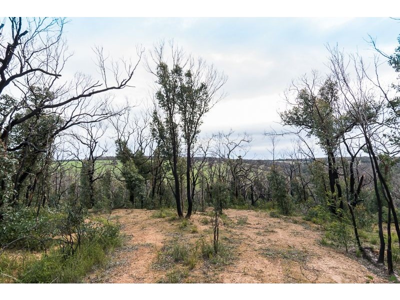 Lot 11 Paynesbridge Rd, Dereel VIC 3352