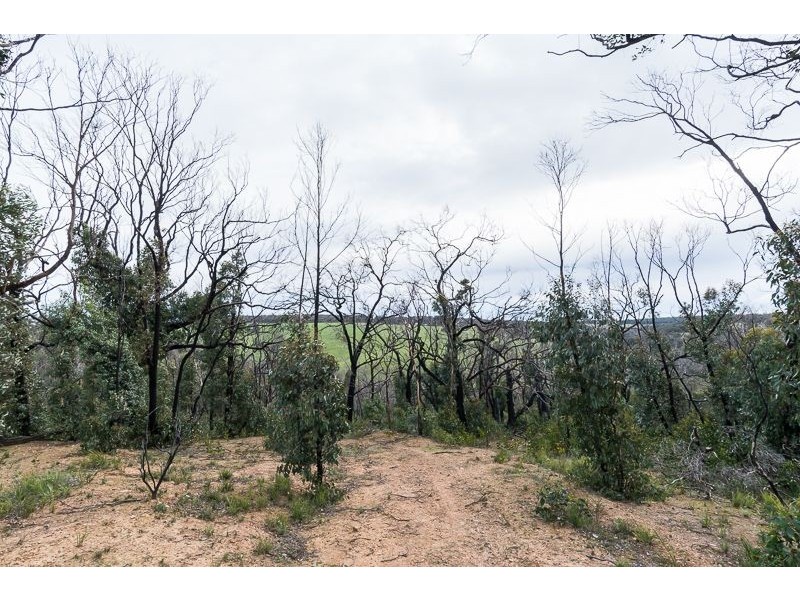 Lot 11 Paynesbridge Rd, Dereel VIC 3352
