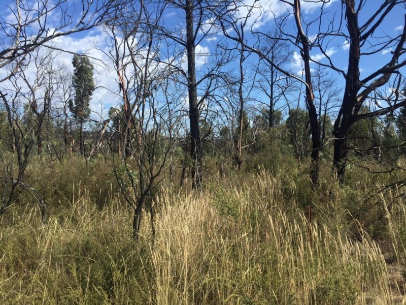 Lot 11 Paynesbridge Rd, Dereel VIC 3352