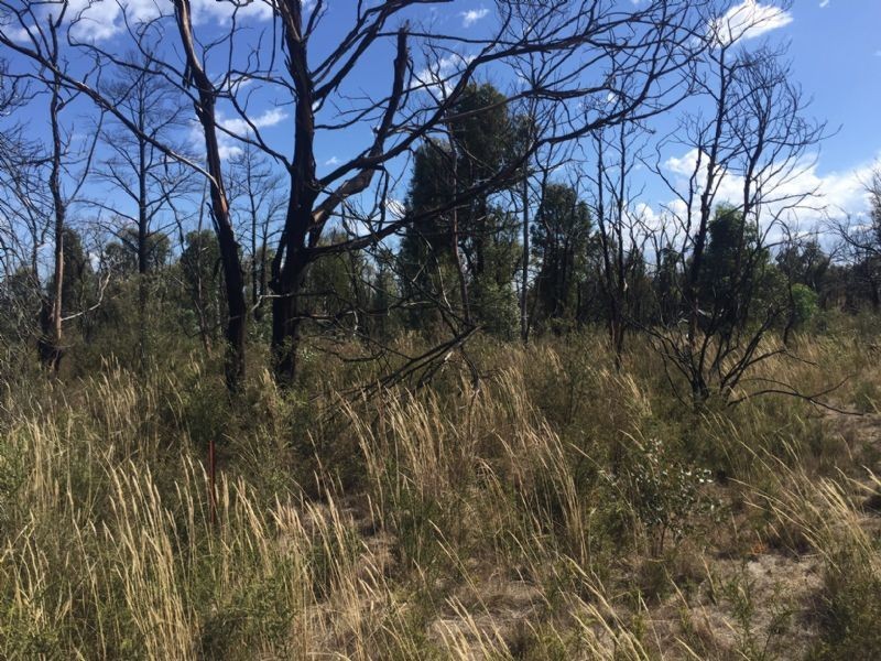 Lot 11 Paynesbridge Rd, Dereel VIC 3352