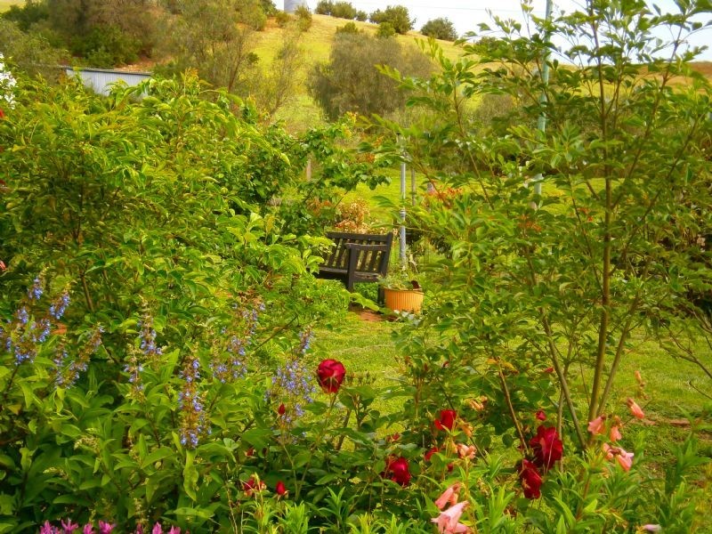 Bannockburn VIC 3331