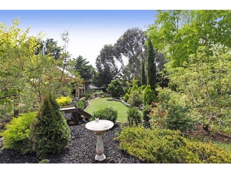 19 Willis Street, Teesdale VIC 3328