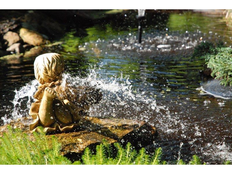 19 Willis Street, Teesdale VIC 3328