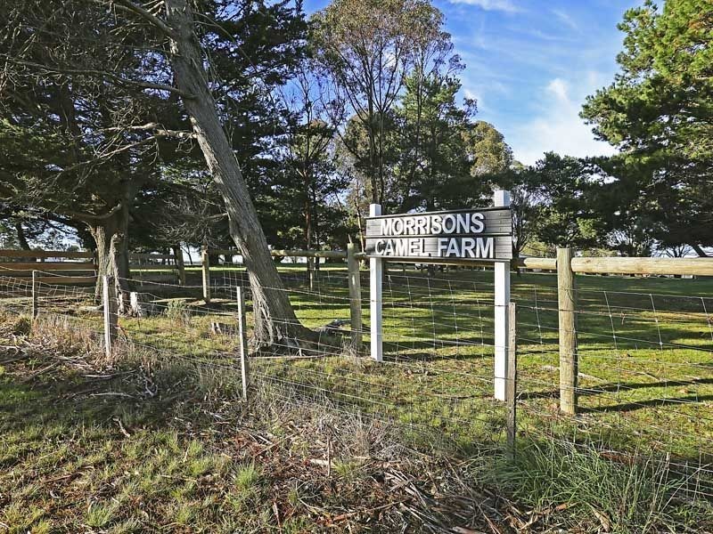 432 Elaine-Morrisons Road, Morrisons VIC 3334