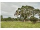 Lot 2, 43 Marrabah Crescent, Teesdale VIC 3328