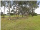 Lot 2, 151 Burnside Road, Bannockburn VIC 3331