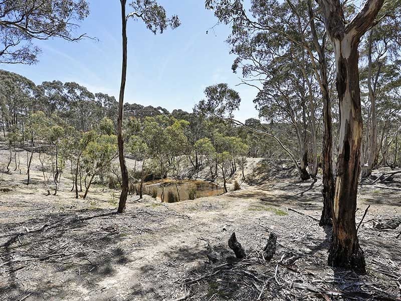 741 Beremboke Road, Anakie VIC 3221