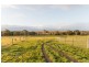 53 Squires Road, Teesdale VIC 3328