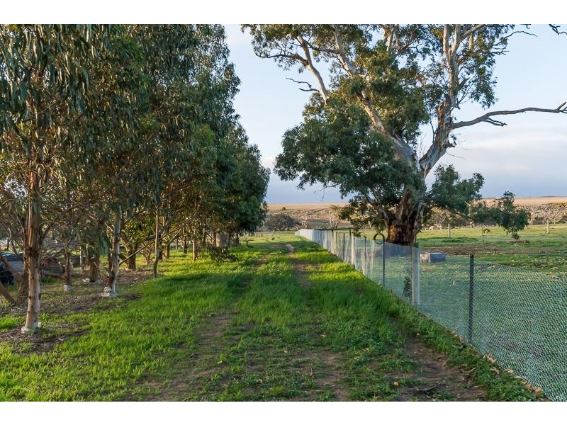 53 Squires Road, Teesdale VIC 3328