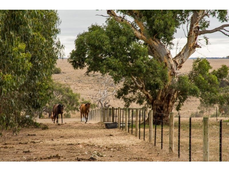 53 Squires Road, Teesdale VIC 3328