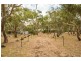 Lot 2, 23 Tooliroopah Road, Teesdale VIC 3328