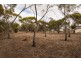 Lot 2, 20 Clyde Road, Bannockburn VIC 3331