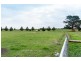 Lot 4, 2119 Midland Highway, Bannockburn VIC 3331