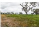 12a Kestrel Place, Teesdale VIC 3328