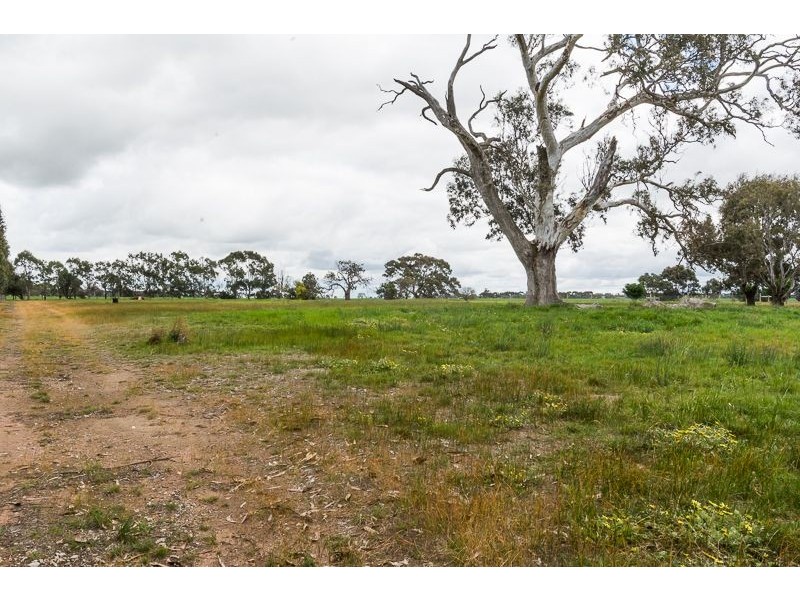 12a Kestrel Place, Teesdale VIC 3328
