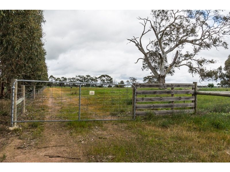 12a Kestrel Place, Teesdale VIC 3328