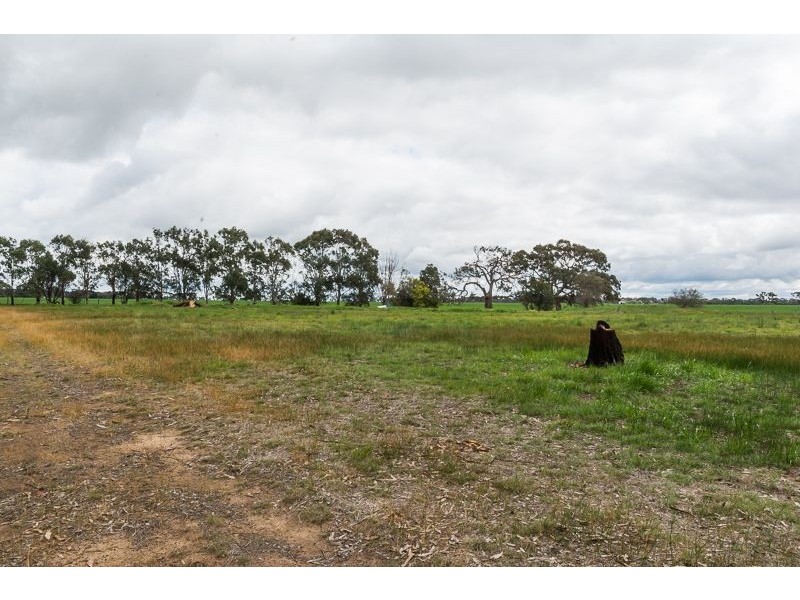 12a Kestrel Place, Teesdale VIC 3328