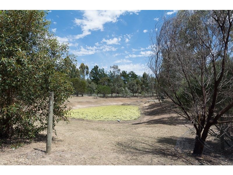 53 Native Hut Drive, Teesdale VIC 3328
